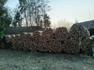 Brennholz Birke, Buche 4150 Rohrbach-Berg