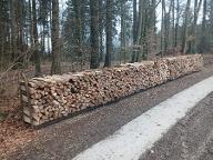 Brennholz Esche, Buche