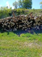 Rundholz Esche Polling im Innkreis