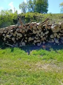 Rundholz Rundholz Esche