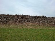 Brennholz Buche Weinzierl am Walde
