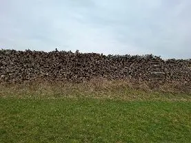 Brennholz Brennholz Buche