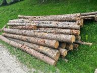 Rundholz Europäische Lärche feinjährig