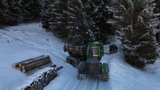 ad Wald besitzen ohne Arbeit