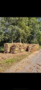 Brennholz Birke, Esche