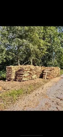 Brennholz Brennholz Birke, Esche