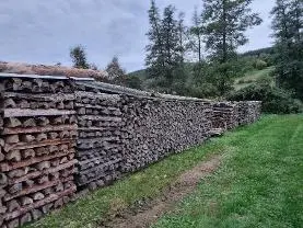 Brennholz Brennholz Kiefer