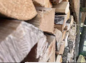 Brennholz Brennholz Esche, Eiche, Buche Brennholz (Hartholz oder Weichholz)