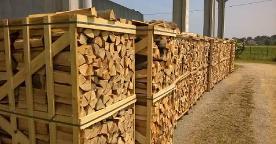 Brennholz Buche Brennholz