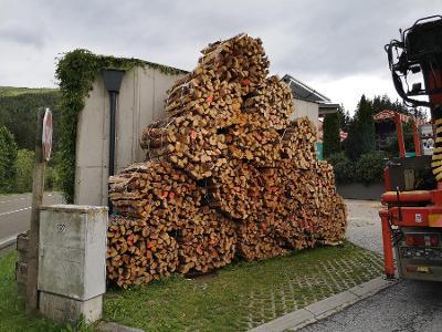 Esche, Europäische Lärche, Hainbuche