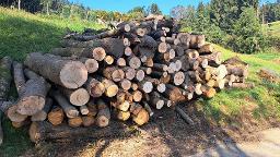 Rundholz Esche
