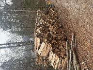 Brennholz Buche