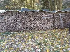 Brennholz Brennholz Buche
