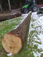 Rundholz Linde Astrein Kirchberg an der Pielach