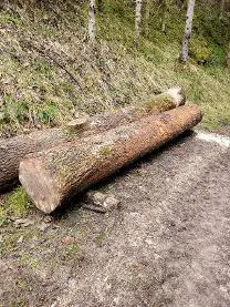 Rundholz Rundholz Esche