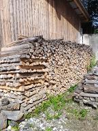 Brennholz Esche