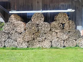 Brennholz Brennholz Esche, Buche