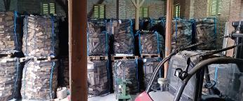 Brennholz Esche, Buche