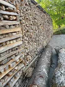 Brennholz Brennholz Esche