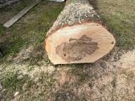 Rundholz Eiche