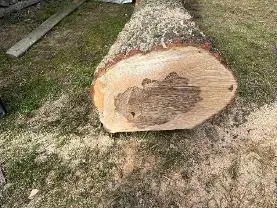 Rundholz Rundholz Eiche