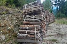Brennholz Fichte, Birke, Kiefer