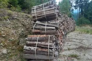 Brennholz Brennholz Fichte, Birke, Kiefer