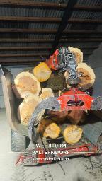 Rundholz Sonstiges Holz Christusdorn Niederabsdorf