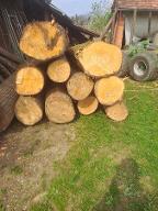 Rundholz Linde Leutschach an der Weinstrasse