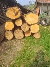 Rundholz Rundholz Linde