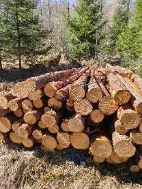 Rundholz Rundholz Lärche