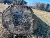 Rundholz Eiche