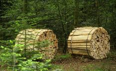 Brennholz Fichte Brennholz zu verkaufen