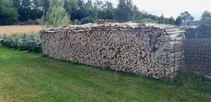 Brennholz Brennholz Fichte, Kiefer