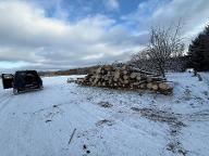 Rundholz Fichte Mössingen