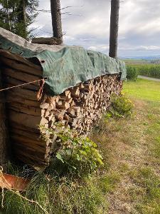 Brennholz Buche