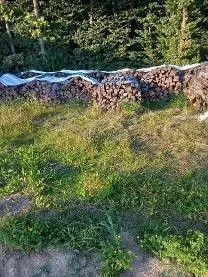 Brennholz Brennholz Erle