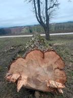 Rundholz Linde Ried im Traunkreis