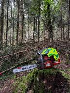 Dienstleistung Dienstleistungen Kronberger (Holzernte & Rückung)