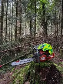 Dienstleistung Dienstleistungen Kronberger