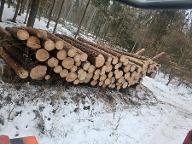 Rundholz Kiefer Straden