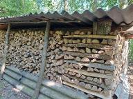 Brennholz Esche