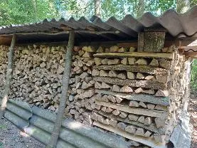 Brennholz Brennholz Esche