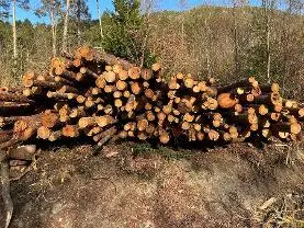 Rundholz Rundholz Lärche Lärche Faserholz Zaunpfähle