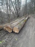 Rundholz Esche Esche + 2 Ahornstämme Steyr