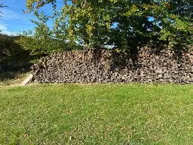 Brennholz Brennholz Buche