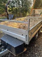 Hackschnitzel Hackgut Weichholz (>90%)