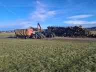 Hackschnitzel Hackgut Weichholz (>90%)