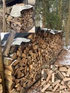 Brennholz Buche