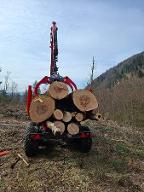 Brennholz Buche Langkampfen